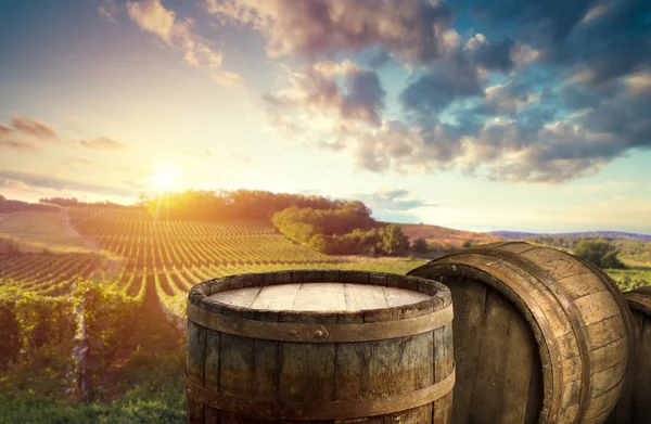Uvas Vinho Maduras Vinhas Toscana Itália Quinta Vinhos Pitoresca Vinha — Fotografia de Stock