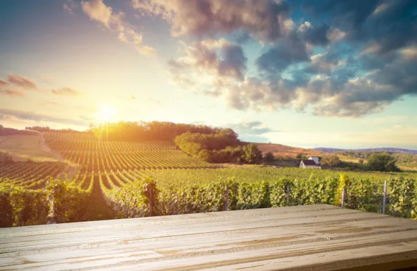 Uvas Vinho Maduras Vinhas Toscana Itália Quinta Vinhos Pitoresca Vinha — Fotografia de Stock