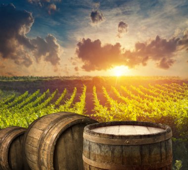 Gün batımında çekilmiş bir üzüm bağının geniş panoramik görüntüsü.