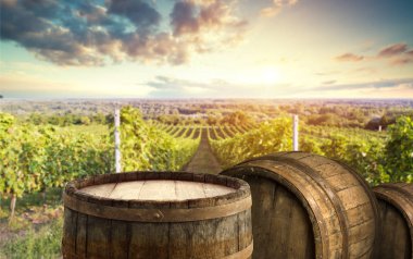 Resepsiyon ve tablo boş alan bırakır