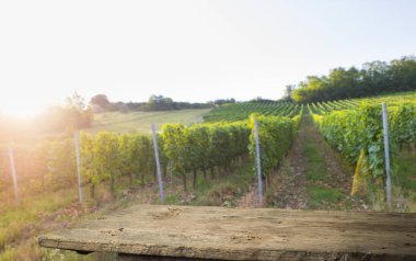 Resepsiyon ve tablo boş alan bırakır