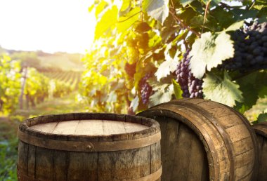 Resepsiyon ve tablo boş alan bırakır