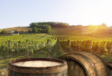 Resepsiyon ve tablo boş alan bırakır