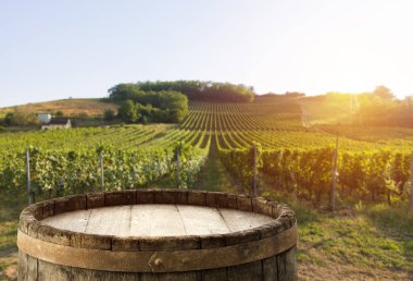 Resepsiyon ve tablo boş alan bırakır