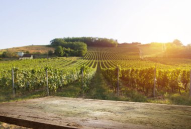 Resepsiyon ve tablo boş alan bırakır