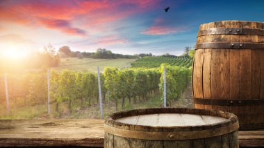 Tuscany, İtalya 'da üzüm bağında kırmızı şarap