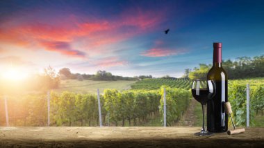 Tuscany, İtalya 'da üzüm bağında kırmızı şarap