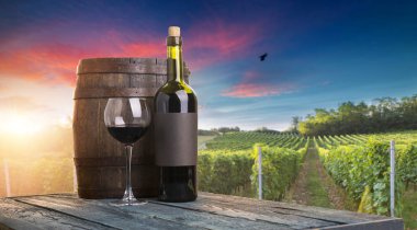 Tuscany, İtalya 'da üzüm bağında kırmızı şarap