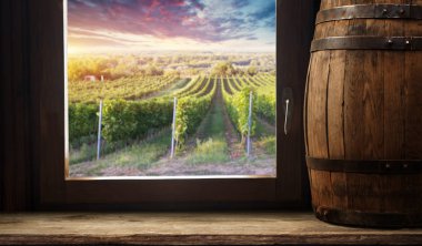 Olgun Şaraplık üzüm Toskana, İtalya üzerinde. Güzel şarap çiftlik, üzüm bağı. Gün batımı ılık ışık