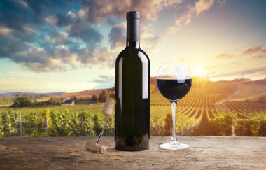 Tuscany, İtalya 'da üzüm bağında kırmızı şarap