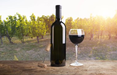 Tuscany, İtalya 'da üzüm bağında kırmızı şarap