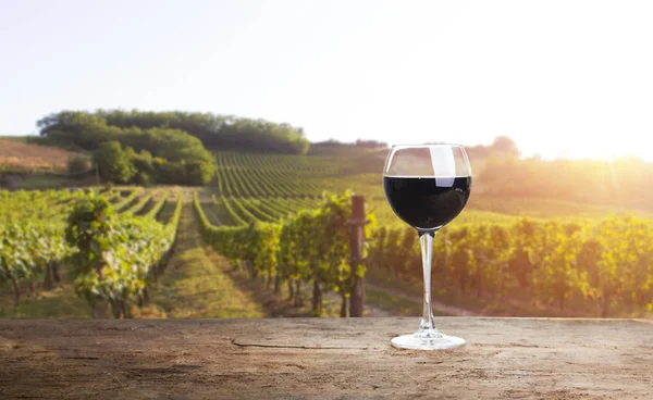 Vino tinto con barril en viñedo verde Toscana, Italia — Foto de Stock