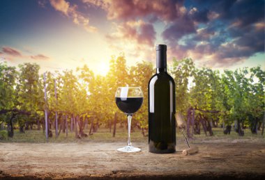 Tuscany, İtalya 'da üzüm bağında kırmızı şarap