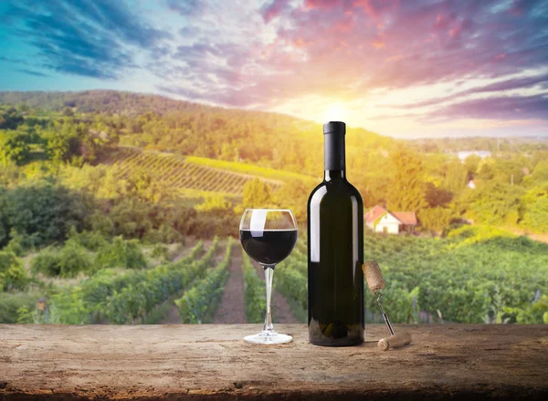 Rött vin med fat på vingård i grön Toscana, Italien — Stockfoto