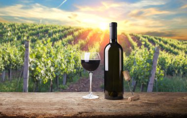 Gün batımında çekilmiş bir üzüm bağının geniş panoramik görüntüsü.