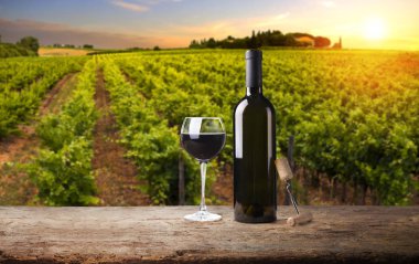 Gün batımında çekilmiş bir üzüm bağının geniş panoramik görüntüsü.