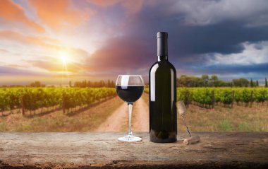 Gün batımında çekilmiş bir üzüm bağının geniş panoramik görüntüsü.