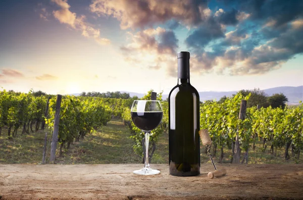 Uvas Vinho Maduras Vinhas Toscana Itália Quinta Vinhos Pitoresca Vinha — Fotografia de Stock