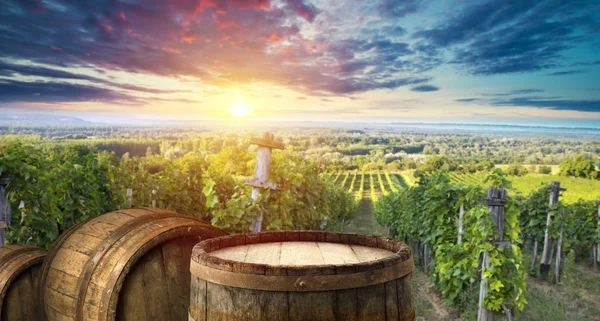 Vino Tinto Con Barril Viñedo Verde Toscana Italia — Foto de Stock