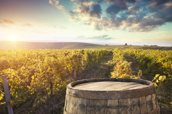 Vinho tinto com barril em vinha na Toscana verde, Itália — Fotografia de Stock