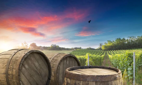 Red wine with barrel on vineyard in green Tuscany, Italy — Stock Photo, Image