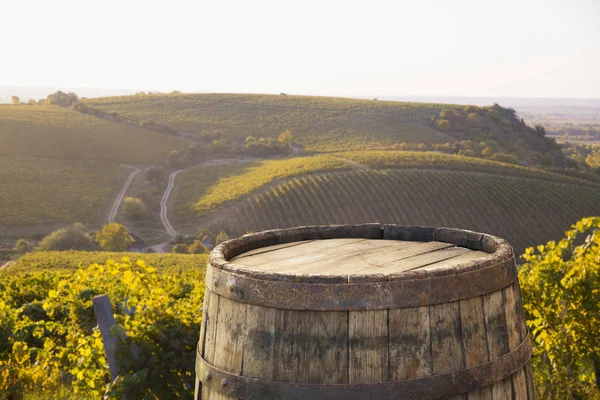 Красное Вино Бочкой Винограднике Зеленой Тоскане Италия Лицензионные Стоковые Изображения