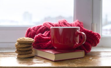 Cozy kış Natürmort: bir fincan sıcak çay ve vintage pencere dışında kar manzara karşı sıcak ekose ile açılan kitap.