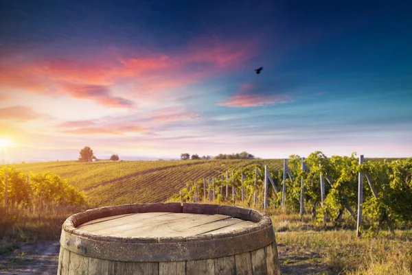 Vinho Tinto Com Barril Vinha Toscana Verde Itália — Fotografia de Stock