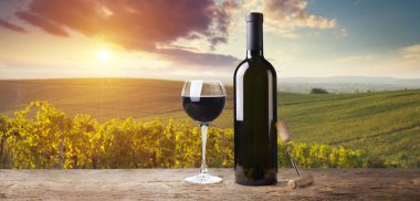 Olgun Şaraplık üzüm Toskana, İtalya üzerinde. Güzel şarap çiftlik, üzüm bağı. Gün batımı ılık ışık