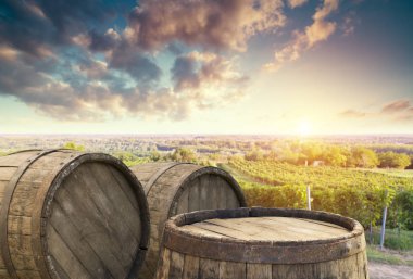 Tuscany, İtalya 'da üzüm bağında kırmızı şarap