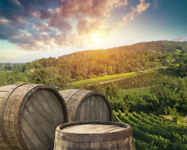 Vinho Tinto Com Barril Vinha Toscana Verde Itália — Fotografia de Stock