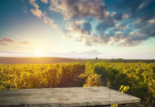 Vino tinto con barril en viñedo verde Toscana, Italia — Foto de Stock