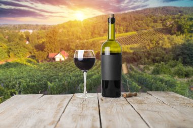 Tuscany, İtalya 'da üzüm bağında kırmızı şarap