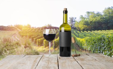 Tuscany, İtalya 'da üzüm bağında kırmızı şarap