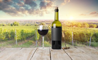 Tuscany, İtalya 'da üzüm bağında kırmızı şarap