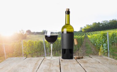 Tuscany, İtalya 'da üzüm bağında kırmızı şarap