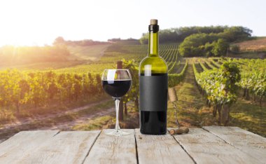 Tuscany, İtalya 'da üzüm bağında kırmızı şarap