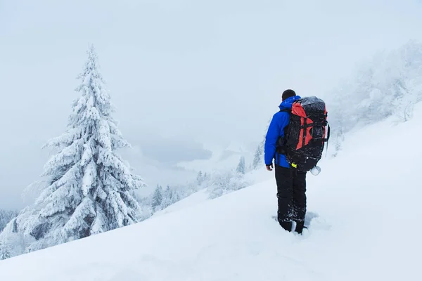 Escursionista Cima Una Roccia Con Zaino Godere Una Giornata Sole — Foto Stock