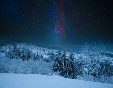 gece dolunay ışık çam ormanı karlı çayır. yeri göl Synevyr Ukrayna, kışın donmuş. güzel doğa panoramik manzara Karpat Dağları'nda