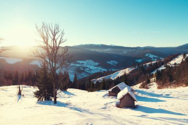 Güzel kış panorama taze kar kar ile. Çam ağaçları, mavi gökyüzü güneş ışığı ve renkli bulutlar ve arka plan üzerinde yüksek dağ ile manzara