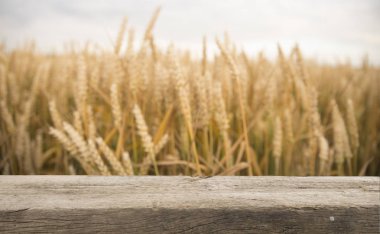 Gün batımında buğday tarlasının önündeki tahta masa. Ürün görüntüleme kurgusu için hazır
