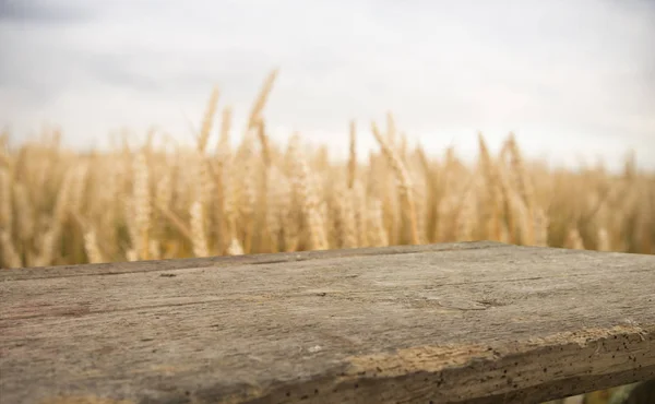 Mesa de madera delante del campo de trigo en la luz del atardecer. Listo para montaje en pantalla de producto —  Fotos de Stock