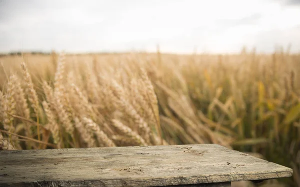 Wood board table in front of field of wheat on sunset light. Ready for product display montage — Stock Photo, Image