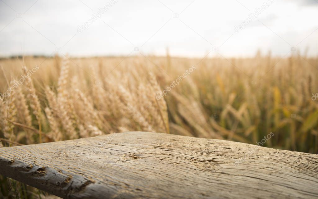 wood board table in front of field of wheat on sunset light. Ready for product display montage