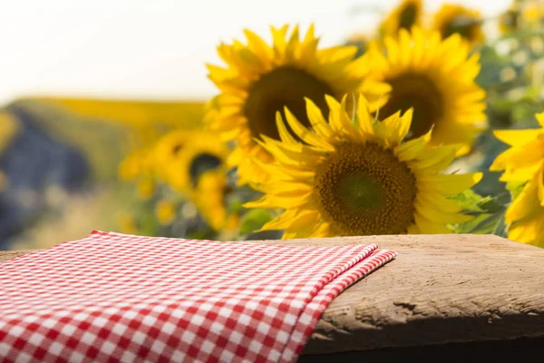 Asse di legno vuota con sfondo campo di girasole — Foto Stock