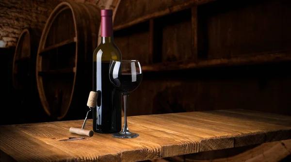 Fila de botellas de vino vintage en una bodega poco profunda — Foto de Stock