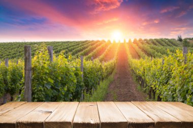 Günbatımında Avusturya, Avrupa 'da Suedsteirische adında güney Styrian asma yolu boyunca manzara bağları.