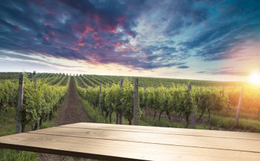 Günbatımında Avusturya, Avrupa 'da Suedsteirische adında güney Styrian asma yolu boyunca manzara bağları.
