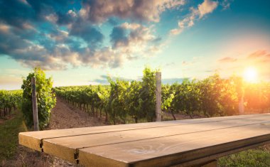 Günbatımında Avusturya, Avrupa 'da Suedsteirische adında güney Styrian asma yolu boyunca manzara bağları.