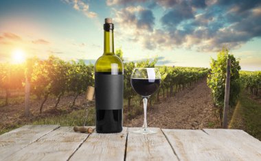 Günbatımında Avusturya, Avrupa 'da Suedsteirische adında güney Styrian asma yolu boyunca manzara bağları.